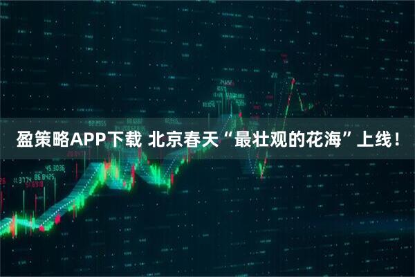 盈策略APP下载 北京春天“最壮观的花海”上线！