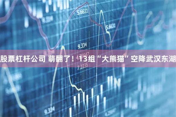 股票杠杆公司 萌翻了！13组“大熊猫”空降武汉东湖